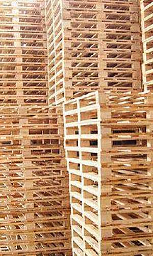 empresa de pallets de madeira empresa de pallets de madeira